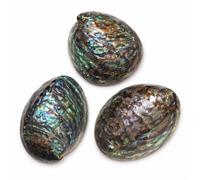 BellaMira Genuine Abalone Shell 10-14cm, Natural Iridescent Paua Shell for Smudging, Cleansing & Healing, Ocean Stone for Peace, Love, Intuition & Emotional Balance