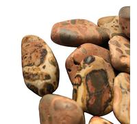 BellaMira Leopardite Crystal, Single Polished Stone, Healing Crystal for Nurturing, Growth, Emotional Healer, Insecurities. Anger, Acceptance, Understanding
