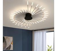 Bellastein LED Creative Fireworks Ceiling Light Modern Dimmable 42-Flame Recessed Ceiling Lamp 3000-6000K Remote Control Bedroom Living Room Dining Room Lamp (Black, 42 Lamp heads)