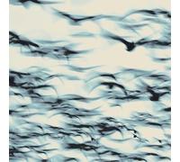 Bellbird : The Call CD (2026) NEW Highly Rated eBay Seller Great Prices