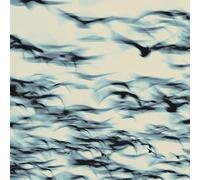 Bellbird - The Call [VINYL]