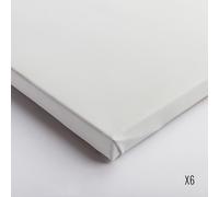 Belle Arti : Linen 62/574 : Universal Primed Extra Fine Grain : 50x70cm : Box of 6