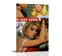 Belle De Jour Poster; Room Aesthetics, Canvas Oil Painting, Album/movie Poster Hanging Picture