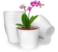 BELLE VOUS 10 Pack of White Plastic Indoor Plant Pots - 13.5cm/5.31 Inches Planters with Drainage Holes and Trays/Saucers - Decorative Flowerpots for House Plants, Succulents or Seeding Nursery