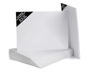 Belle Vous 14 Pack Blank Canvas - 20 x 30cm (8 x 12 inches) - Pre Stretched Canvas Panel Boards - Suitable for Acrylic and Oil Painting Also for Sketching and Drawing