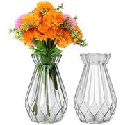 Belle Vous 2 Pack Clear Crystal Glass Vases - 15cm/5.91 Inches - Modern Decorative Cylinder Glass Flower Vase Set For Home Centrepiece and Office Decor