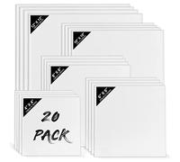 Belle Vous 20 Pack Blank Canvas - 5 Assorted Sizes - Pre Stretched Square Canvas Panel Boards - Suitable for Acrylic and Oil Painting Also for Sketching and Drawing