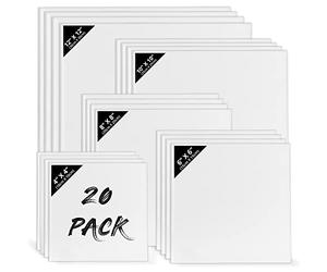 Belle Vous 20 Pack Blank Canvas - 5 Assorted Sizes - Pre Stretched Square Canvas Panel Boards - Suitable for Acrylic and Oil Painting Also for Sketching and Drawing