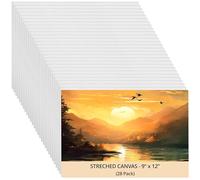 Belle Vous 20 x 30 cm Pre-Stretched Canvas Painting on Wooden Frame Suitable for Acrylic, Oil Painting, Drawing and Sketching