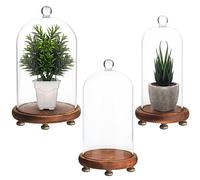 Belle Vous 3 Pack of Glass Dome Cloche Bell Jars with Brown Wooden Bases - Small, Medium & Large Sizes - Clear Decorative Tabletop Display Cases with Stands for Fairy Lights, Centrepieces and Antiques