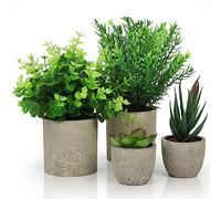 Belle Vous 4 Pack of Artificial Indoor Potted Plants - Small Fake Plastic Eucalyptus, Snake Tongue Grass & Succulent Plants - Faux Greenery for Office, Desk/Table, Bedroom, Kitchen, or Home Decoration
