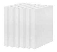 Belle Vous 6 Pack Craft Foam Blocks - 30 x 15 x 2.5cm / 12 x 6 x 1 inches - Rectangle Polystyrene Foam Bricks for Modelling, School Projects, Sculptures, Floral Arrangements, DIY Arts and Crafts