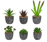BELLE VOUS Grey Mini Succulent Plants in Pots (6 Pack) - Assorted Plastic Artificial Faux Fake Potted Cactus & Succulents in Plant Pots - Decorative Use for Home, Office, Table & Bathroom