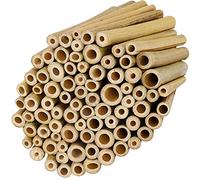 Belle Vous Natural Bamboo Stakes (Set of 100) - L 10 x W 0.9 cm - Insects Hotel, Wild Bee Hotel Solid & Durable - Tomato Stake, Garden Plant Support & Crafts