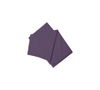 Belledorm Easy Care 200 Thread Count Cotton Polyester Percale Flat Sheet in Dark Mauve | Size: Double Belledorm Dark Mauve Double