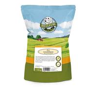 Bellfor Dog Treats - Wild Boar Meat Strips. Grain-Free, Single-Protein Snack for Dogs with Sensitivities. Gently Dried for Maximum Flavour & Nutrition. Natural Dog Training Treats - 100 g