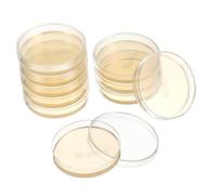 BELLIFFY 10pcs Prepoured Nutrient Agar Plates Petri Dishes with Thick Agar for Science Experiments Stem Education Microbial Culture Supplies