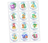 BELLIFFY 12pcs Stickers for Newborns Monthly Photo Prop for Capturing First Year Memories and Giving