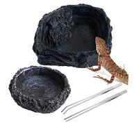 BELLIFFY 2pcs Reptile Water Bowls Resin Food Dishes Tortoise Lizard Snake Habitat Accessories Reptile Feeding Tongs for Water Feeder