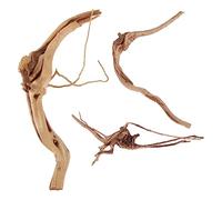 BELLIFFY 3pcs Fish Tank Branch Adornments Decorative Roots for Aquarium Habitat Natural Tree Root Decorations