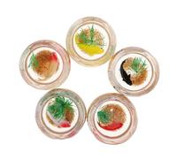 BELLIFFY 5pcs Fish Tank Aquarium Ornaments Realistic Fish Models for Dollhouse and Micro Landscape Decoration Tiny Bowl Accessories for Desktop and Fairy Garden Scenes
