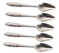 BELLIFFY 5pcs Parrot Feeding Spoon Metal Bird Feeder Spoon for Birds Easy to Clean and Store for Home Use Pet Shops