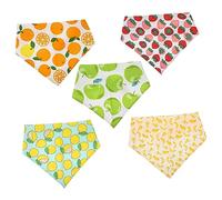 BELLIFFY 5pcs Pet Bandana Fruit Patterns Dog Neckerchiefs for Cats and Dogs Soft and Breathable Prevents Drool and Food Splashes for Daily Wear