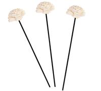 BELLIFFY Dried Flower with Stable Volatility and Excellent Water Absorption Rattan Elegant 3pcs Reed Diffuser Sticks for Home Aromatherapy for Home Decoration