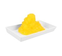 BELLIFFY Human Fat Model with Base for Educational Demonstration Realistic Visual Representation of Body Fat Tissue for Nutritionists Fitness Classes and Anatomy Learning