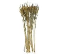 BELLIFFY Natural Hamster Habitat Grain Decor Comfortable Floral Herbal Bedding for Hamster Cages Friendly Dry Cereal Decor Easy Animals
