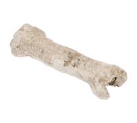 BELLIFFY Resin Bone Crawler Hideout Cave for Tortoise Cave Reptile Terrariums Crested Gecko Hide Aquarium Hide Shelter