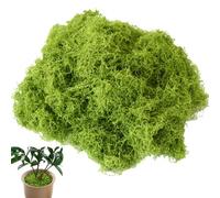 Belligern Fake Moss 100g Artificial Moss Artificial Moss for Indoor Plant Pots Artificial Moss for Crafting for Arts and Crafts Christmas and Easter Decorations Landscaping Floristry and More