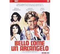 bello come un arcangelo dvd Italian Import