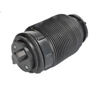Arnott A-3316 Rear Left NS Air Suspension Spring Strut Shock Absorber Spare