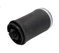 Bellow, air suspensio MAGNUM TECHNOLOGY MZB012MT for BMW X5 (E53) 3 2001-2003