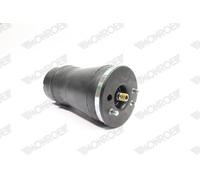 Bellow, air suspensio MONROE ASP012 for BMW X5 (E53) 3 2001-2003