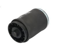 Bellow, air suspension ARNOTT EUROPE A-2504 for BMW X5 (E53) 3 2001-2003