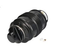Air suspension bellow Rear Top yoke A-2724 Arnott for MERCEDES-BENZ E-CLASS CLS