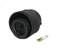 Arnott A-3331 Air Spring, suspension