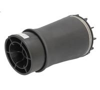 Bellow, air suspension ARNOTT EUROPE A-4008 1500 Crew Cab Pickup (DS) 3.6 2014-