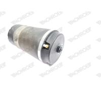 Bellow, air suspension MONROE ASP038