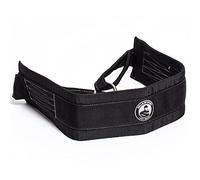 Bells of Steel Dip Belt for Weight Lifting - Commercial and Home Gym Dip Belt Squat Belt for Dips, Belt Squats and Pull-ups - 5 in Width Weighted Dip Belt with Inner Padding, 12 in Chain
