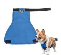 Belly Band - Soft Leather Male Dog Wraps, Male Dog Wraps Elastic Band | Reserved Urinal English Bulldog, Wide Applications, Suitable for Corgis Dachthunds British Bass
