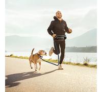 Belly belt with leash for dogs Duvoplus