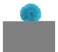 Belly Button Lint Brush,Convenient Clean Brushes - Convenient Clean Brushes, Belly Button Cleaner Face for The Person Who Has Everything