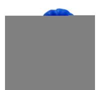 Belly Button Lint Brush - Funny Handy Tool,Convenient Clean Brushes, Belly Button Cleaner Face Brushes for The Person Who Has Everything