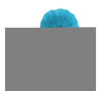 Belly Button Lint Brush - Funny Handy Tool - Convenient Clean Brushes, Belly Button Cleaner Face Brushes for The Person Who Has Everything