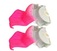 Belly Dance Fan - Portable Dance Fans, LED Belly Dance Fans | Dance Veil Fans, 1 Pair Gradient Long Belly Dance Silk Fans | A, White Pink Dark Pink, Consulte la descripción
