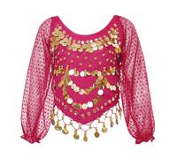 Belly Dance Top for Women, Puff Long Sleeve Chiffon Sequin Dance Shirts, Glitter Coins Tassels Blouse for Festival Clubbing Wear, Self-tie Back Tribal Crop Top for Belly Dance Performance Outfit