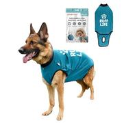 BellyGuard Dog Surgery Recovery Suit, Dog Recovery Suit for Female and Male, Dog Surgical Suit, Cozy Dog Onesie, Dog Body Suit After Surgery, Dog Vest